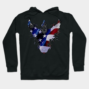 The Art Painting Of US Flags Hoodie